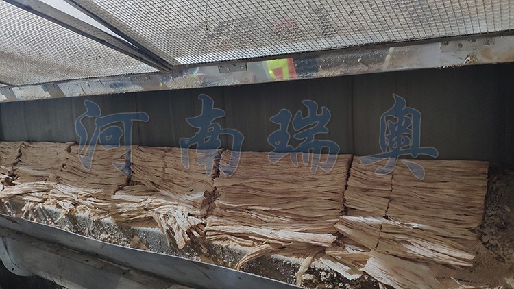 酵母.jpg